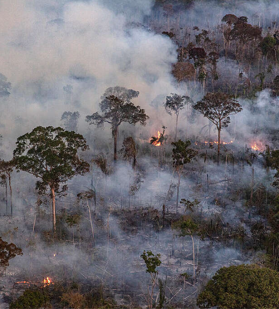Brasil tem recorde de queimadas nos quatro primeiros meses de 2024; Pará é o terceiro na lista