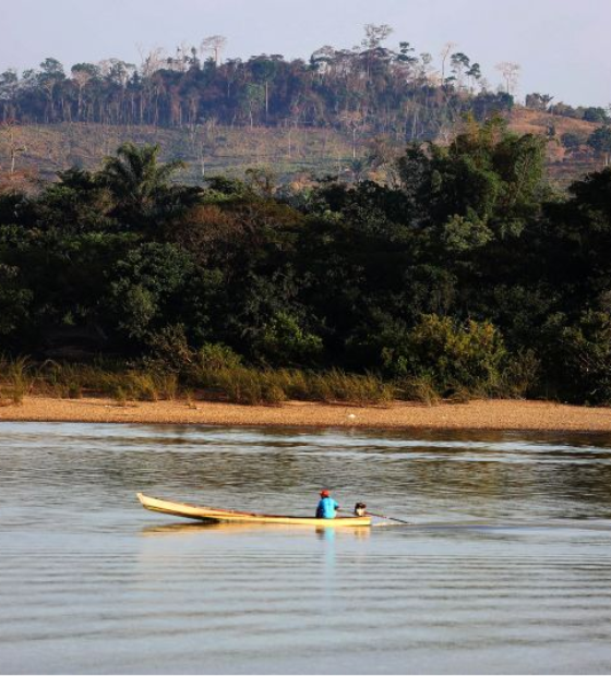 MPF defende veto contra dispositivos que facilitam regularização de imóveis rurais na Amazônia