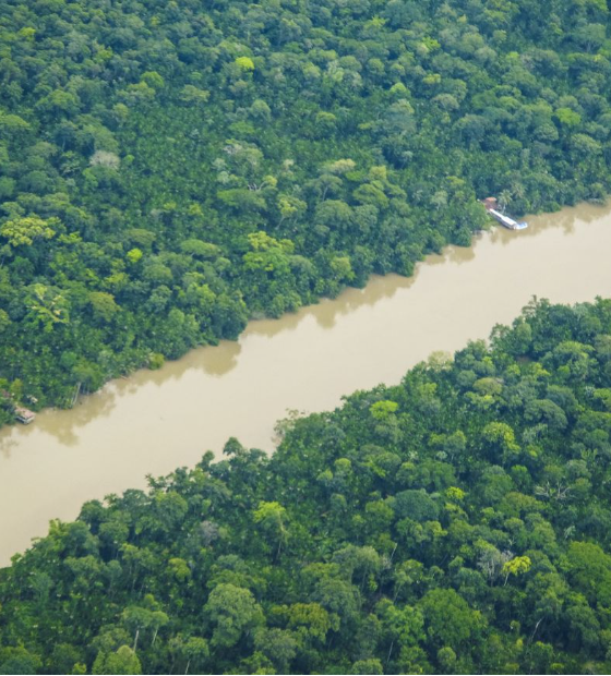 Pará registra 21% de redução no desmatamento e tem menor área desmatada desde 2019