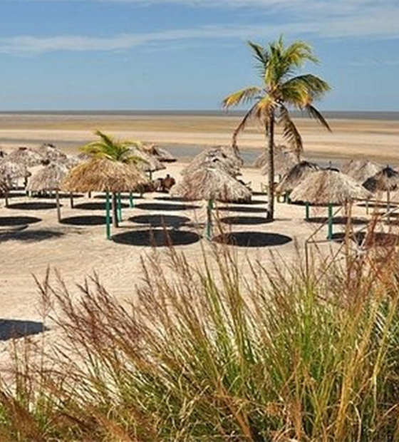 Senado discute proposta para privatizar praias; no Pará, Marajó é porta aberta a especuladores