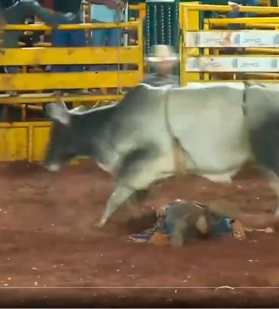 Peão é arremessado e pisoteado por touro durante rodeio em Minas Gerais