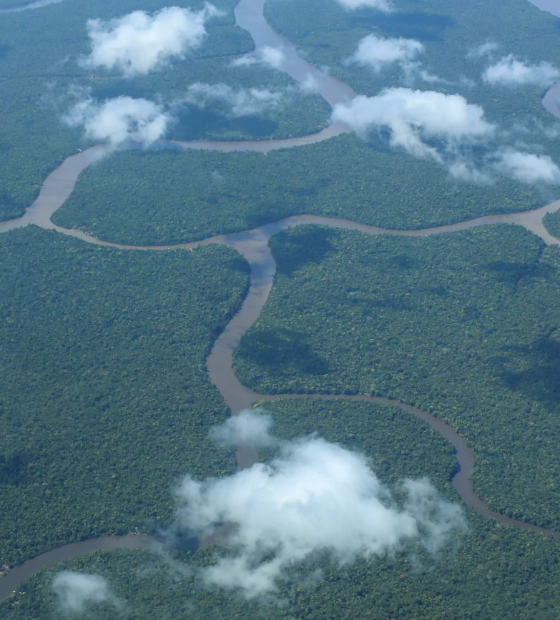 MPF recomenda que bancos cancelem crédito rural para propriedades em áreas de conservação na Amazônia