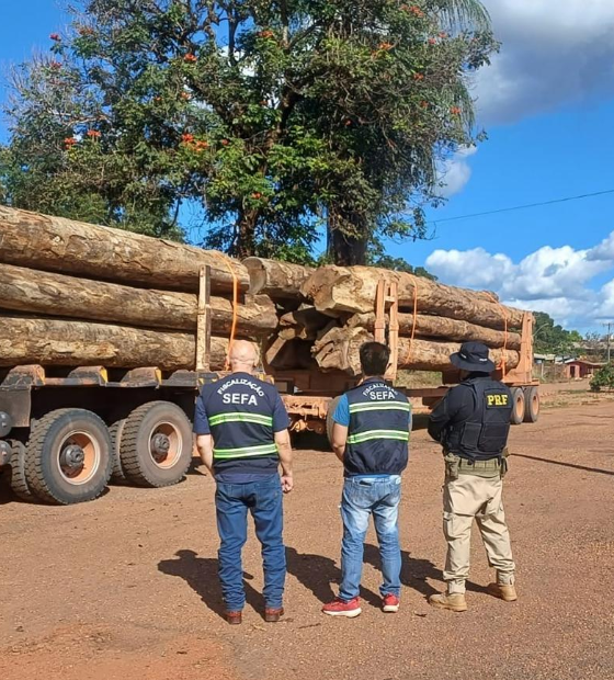 Equipes da Sefa e PRF apreendem mais de 36 toneladas de madeira em tora, em Dom Eliseu