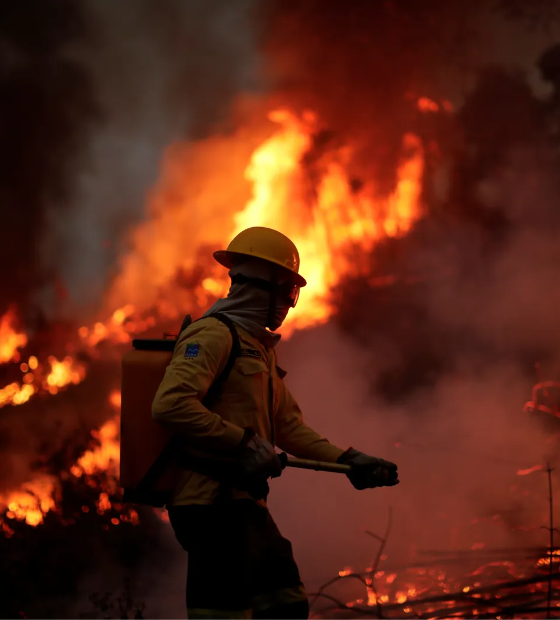 Incêndios na Amazônia brasileira batem recorde para primeiro semestre em 20 anos