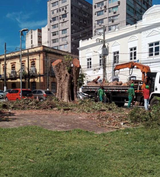 Praça Dom Macedo Costa perde árvores históricas e morador aciona o MP por explicações