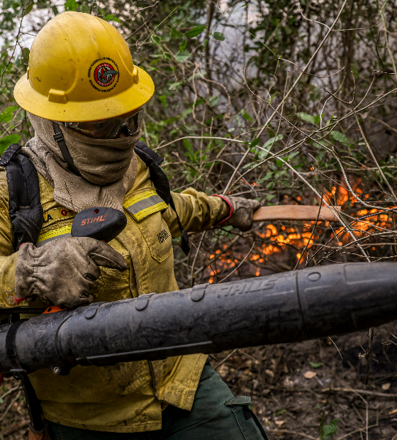 MP abre crédito extraordinário de R$ 137,638 milhões para combate a incêndios no Pantanal