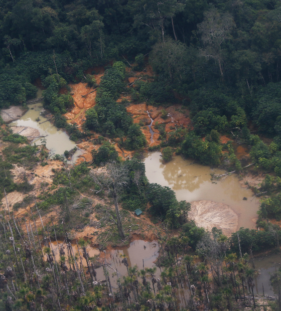 Garimpo devastou 584 campos de futebol em apenas três Terras Indígenas da Amazônia 