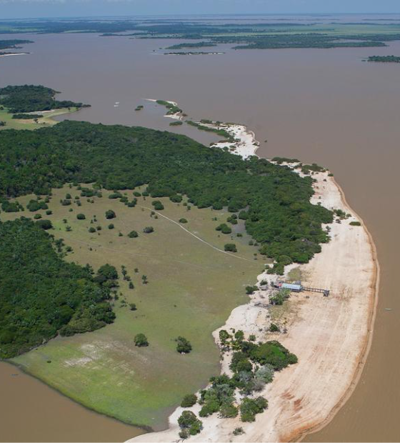 Coluna Ver Amazônia: Marina Silva, a Amazônia e a Crise Climática