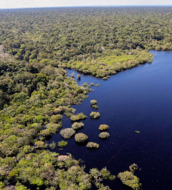 União Europeia fará doação de R$ 120 milhões ao Fundo Amazônia