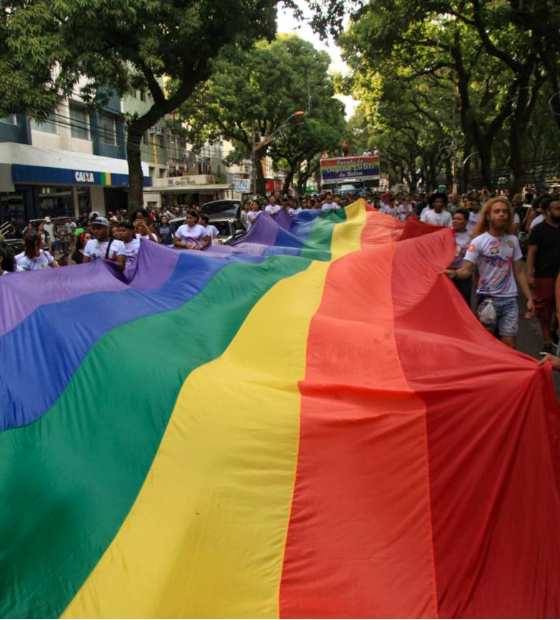 Pré-candidaturas LGBTQIA  somam 229 nas eleições municipais deste ano, apenas 5 em Belém