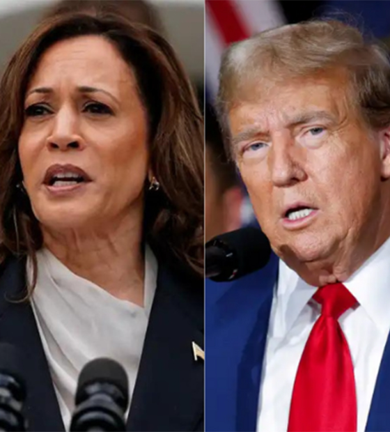 Kamala cresce, reduz diferença de votos para Trump e mostra peso do eleitorado feminino