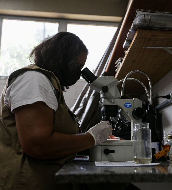 Produção científica cai 7% em 2023 e volta ao patamar pré-pandemia