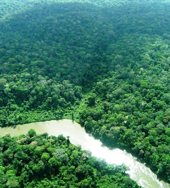 MPF recomenda mudança no Zoneamento Ecológico Econômico do Pará