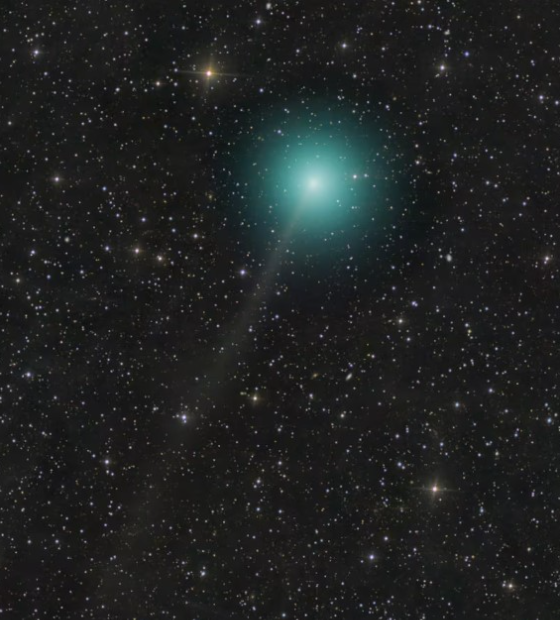 'Cometa do século' se aproxima da Terra; veja quando ele deve estar mais perto