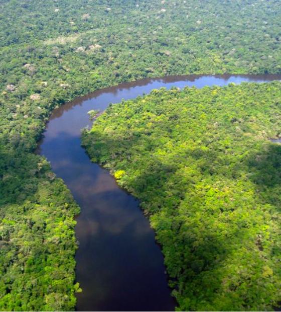 Pará reduz em 42% os alertas de desmatamento em um ano, a maior redução da Amazônia Legal