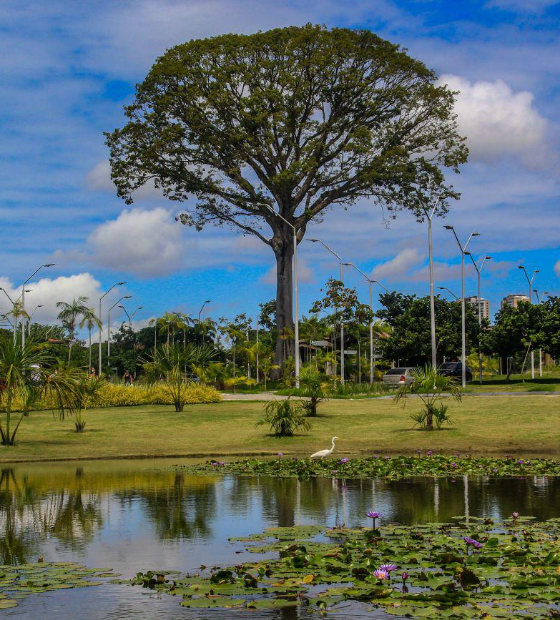 Parques estaduais são opção de lazer no feriado da Adesão do Pará à Independência