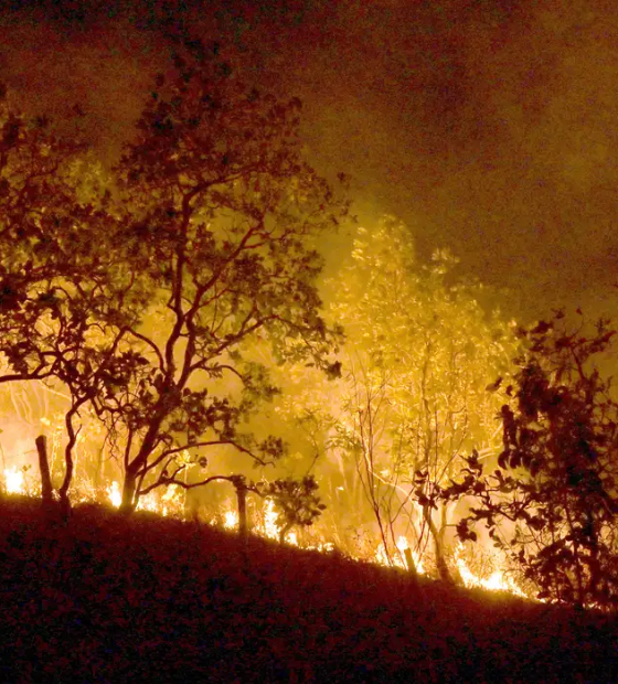 Incêndios: governo vai concentrar ações em 21 municípios da Amazônia