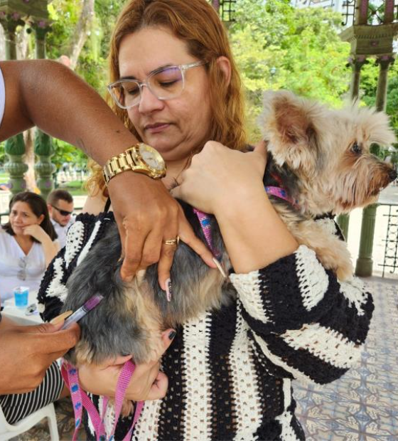 Outeiro recebe campanha de vacinação antirrábica neste sábado, 24