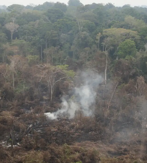 Amazônia tem 2,5 milhões de hectares queimados em agosto