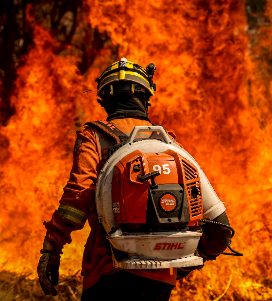 PF abre 32 inquéritos para investigar origem de incêndios florestais no país 