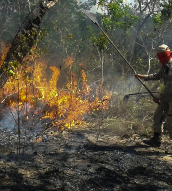 Movimento pró-Amazônia se diz preocupado com florestas e cobra mais ambição do governo Lula