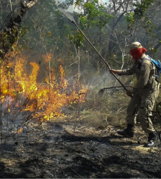 Dino cobra da AGU informações sobre combate a incêndios no Pantanal e na Amazônia