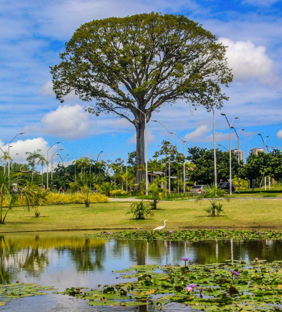 Parque Estadual do Utinga celebra o Dia da Amazônia com programação especial