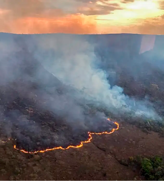 Brasil concentra 76% dos incêndios na América do Sul