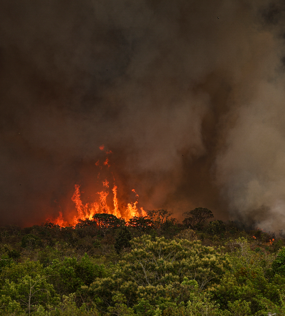  Marina apresentou plano contra incêndios levando em conta experiência no Pantanal, diz Haddad