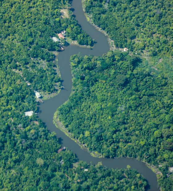 MPF recomenda cancelamento de Cadastro Ambiental Rural em área de comunidades tradicionais no Marajó (PA)