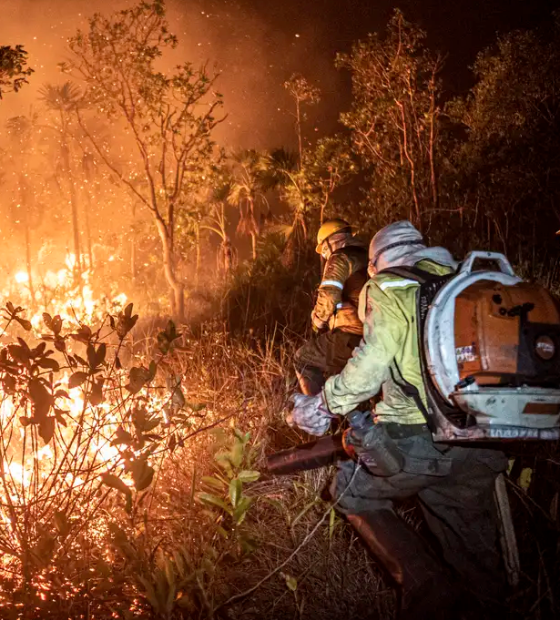 Monitoramento mostra que 99% dos incêndios são por ação humana