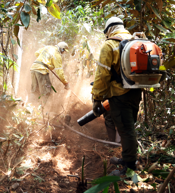 Governo Lula amplia multas para incêndios ilegais em meio a seca histórica