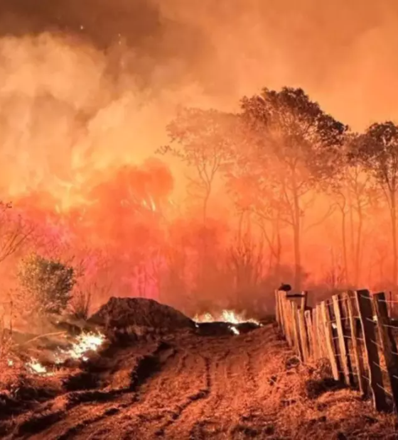 Governo Lula quer pena de até 18 anos de prisão para quem provocar incêndio florestal