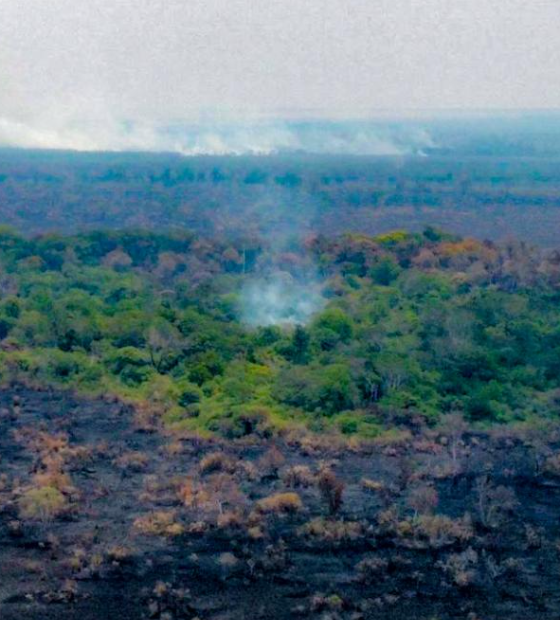 Demapa deflagra operação para investigar queimadas na região sudeste do Pará