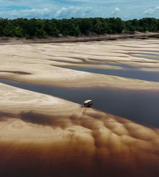 Brasil precisa zerar o desmatamento para cumprir metas sobre emissão de CO2