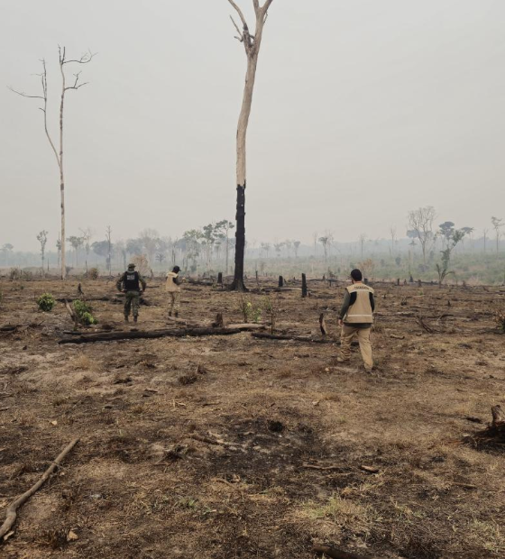 Área queimada cresce 150% até setembro ante 2023, aponta MapBiomas