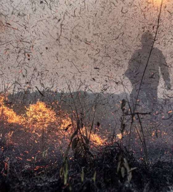 Focos de incêndios no Brasil já são 76% maior que em 2023