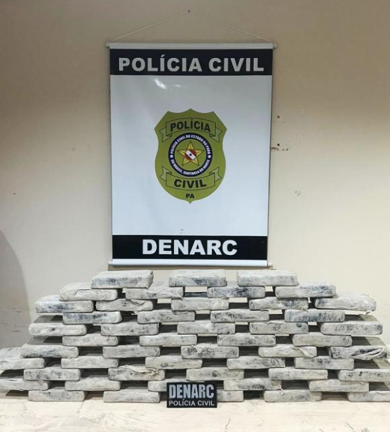 Polícia Civil prende em flagrante homem que transportava 50 quilos de cocaína