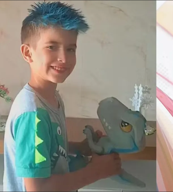 Menino de 6 anos morre após ser picado por abelha no Paraná