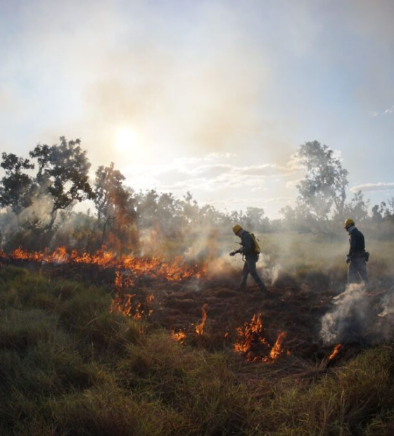 Fazendeiro de Altamira responsável por incêndios florestais é multado desde 1995