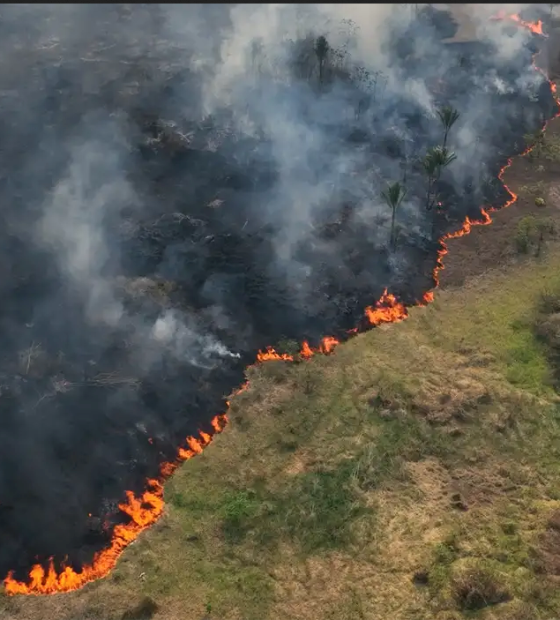  MP abre crédito extra de R$ 938,5 milhões para auxílio pescadores e emergência climática