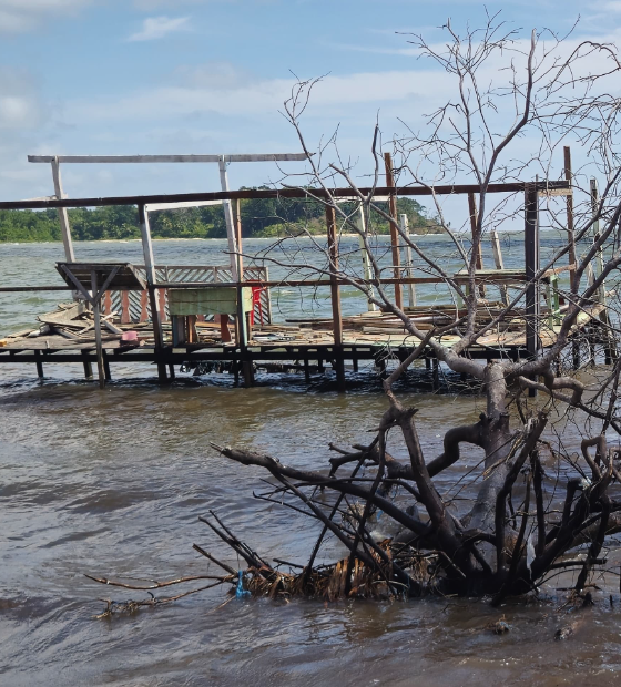 COLUNA VER AMAZÔNIA: Avanço do mar e seca ameaçam ribeirinhos do Marajó e indígenas do Xingu