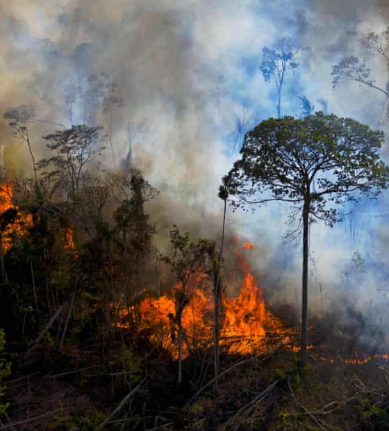 Das 10 cidades que mais usam fogo para degradar a Amazônia, 7 estão no Pará