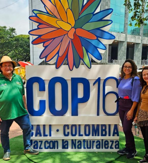 Pará apresenta iniciativas para conservação da biodiversidade na COP 16, na Colômbia