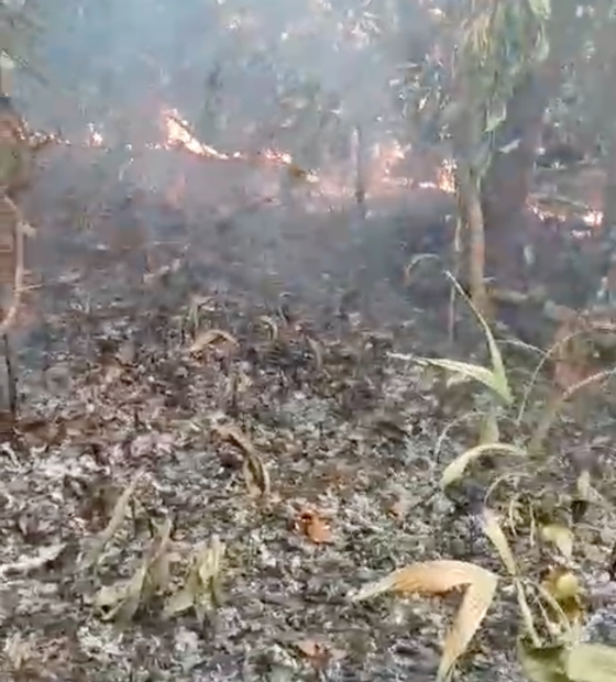 Fogo já destruiu mais da metade de território indígena no Moju e lideranças pedem ajuda