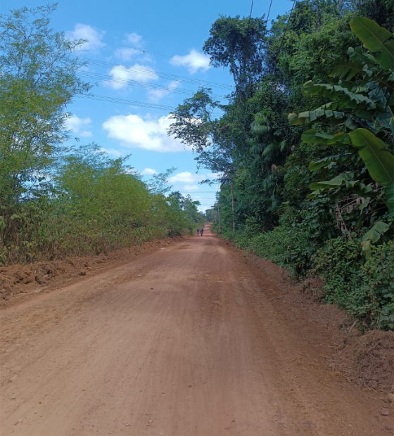 Exploração de áreas de proteção ambiental avança em Belém, mas fiscalização passa batida