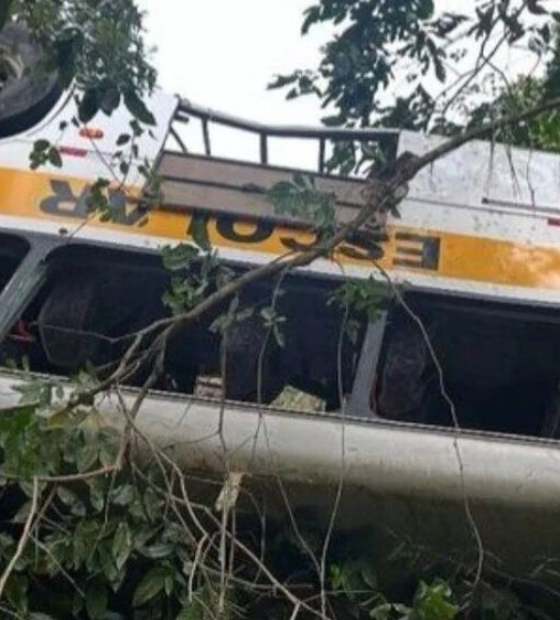 Ônibus cai em ribanceira e deixa 17 mortos e quase 30 feridos na em Alagoas