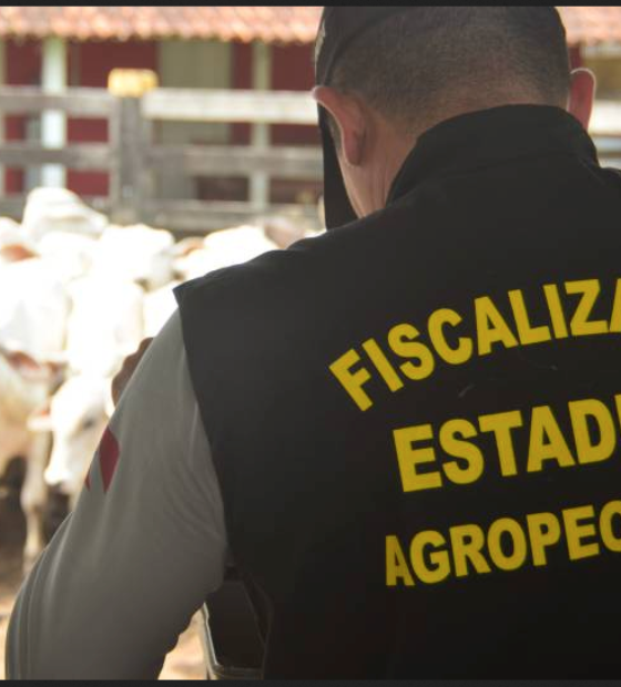 Justiça Federal exige que Adepará publique informações das Guia de Trânsito Animal (GTAs)