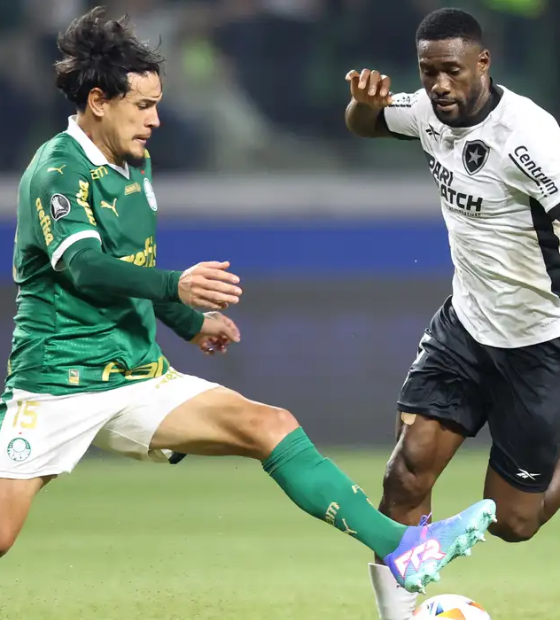 Palmeiras e Botafogo jogam de olho no título do Campeonato Brasileiro