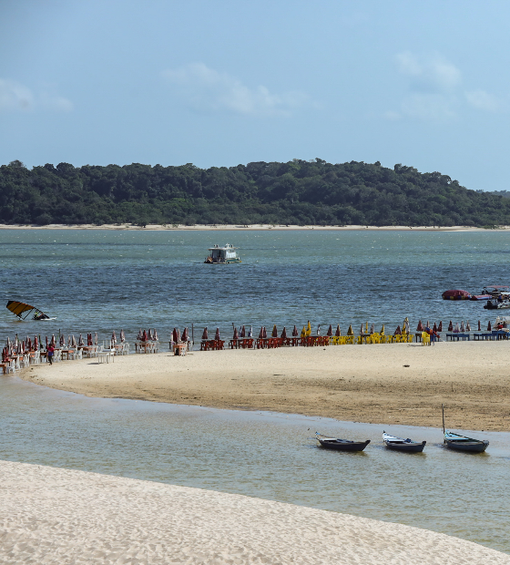 MPF cobra fiscalização de florestas públicas federais em Alter do Chão e Planalto Santareno